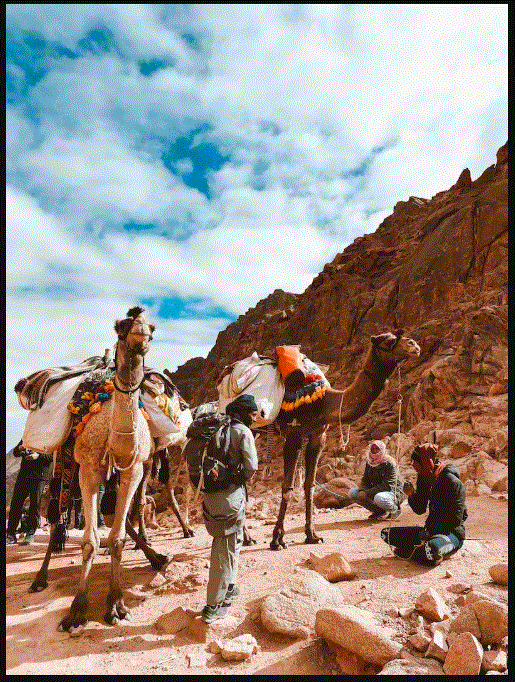 Camel Ride